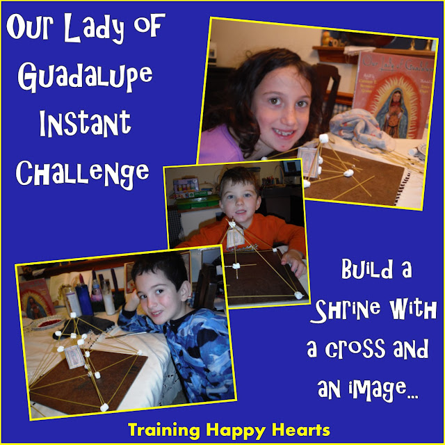 http://traininghappyhearts.blogspot.com/2015/12/our-lady-of-guadalupe-instant-challenge.html