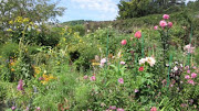 Le jardin de Claude Monet. The garden of Claude Monet.
