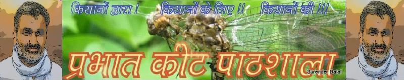 PRABHAT KEET PATHSHALA