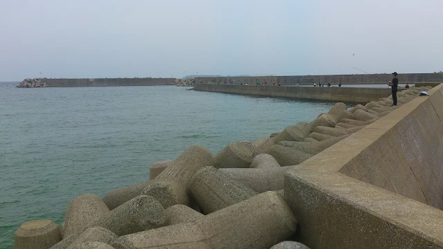 釣りのメイン堤防