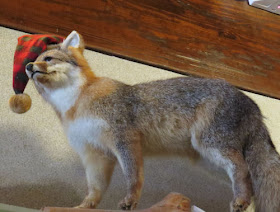 stuffed fox with a red plaid hat