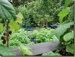 DSC00031