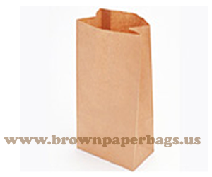 small paper bags