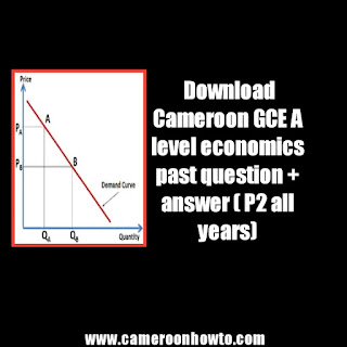 Download GCE A level economics past question + answer ( P2 all years)
