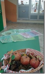 IMG-20161026-WA0014