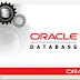 oracle 11g dba tutorial for beginner features architecture pdf summary & developer free download