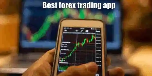 What is the role of a forex broker?