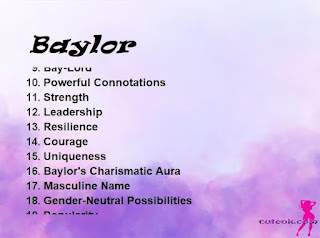 meaning of the name "Baylor"