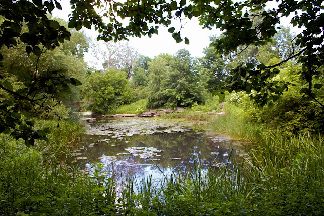 Alfred Caldwell Lily Pool, Chicago - Tammy Sue Allen Photography