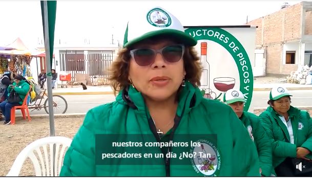 ¿Sabías que? en Mala existe una asociación vitivinícola