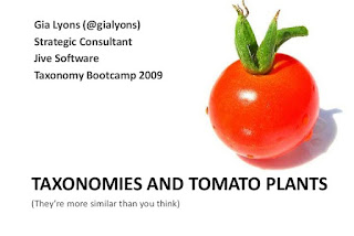 TAXONOMY OF TOMATO