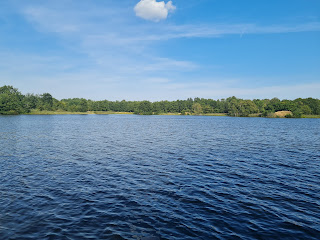 See im naturschutzgebiet Wyldemerk