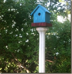 photo3