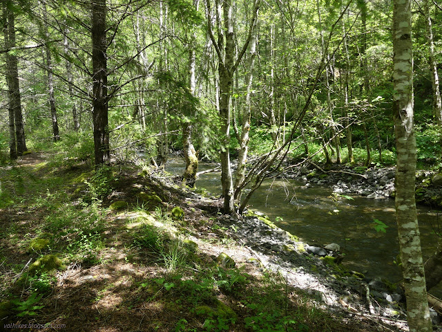 192: water flowing through trees