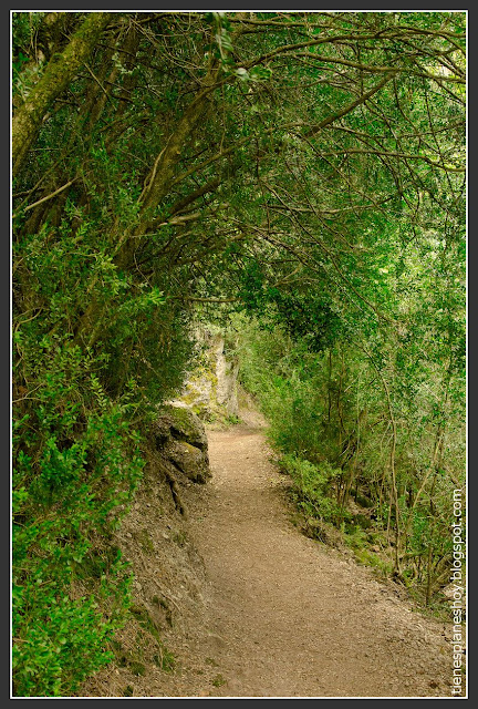 Ruta Rio Borosa - Cerrada Elías (Jaén)