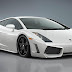 Lamborghini Gallardo HD Wallpaper