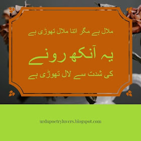 Best Poetry in Urdu Heart Touching Collection with Images 2020