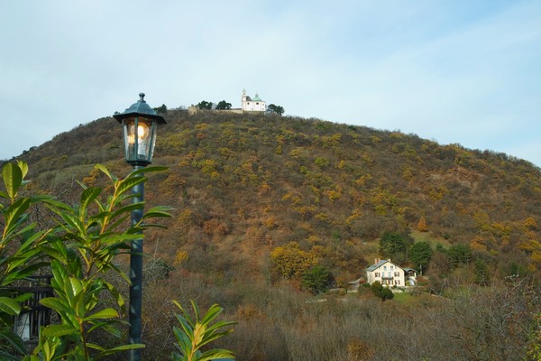 autriche vienne kahlenberg heuriger hirt