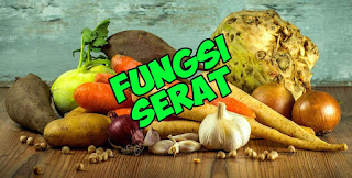 fungsi serat bagi kesehatan tubuh