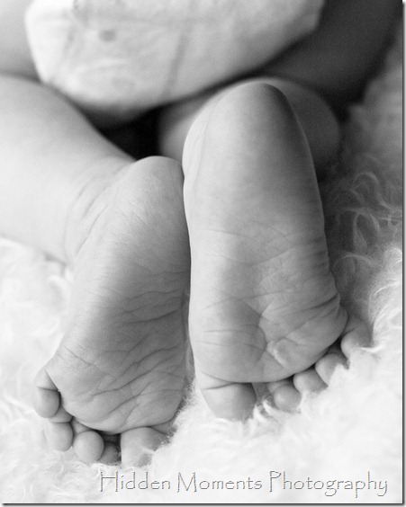IMG_0039 bw8x10