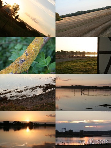 IMG_9489-tile