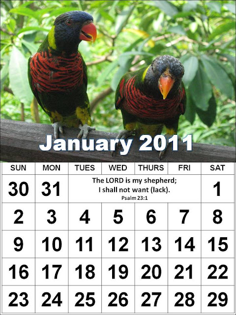 To download and print this Free Christian Monthly Calendar 2011 January with 