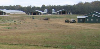 Chicken house chicken farm between flocks