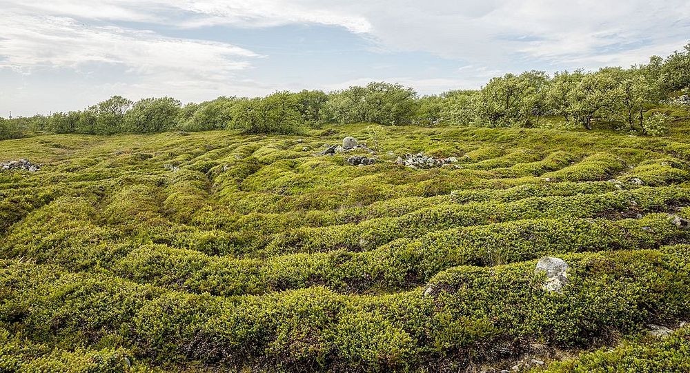 bolshoi-zayatsky-labyrinths-2