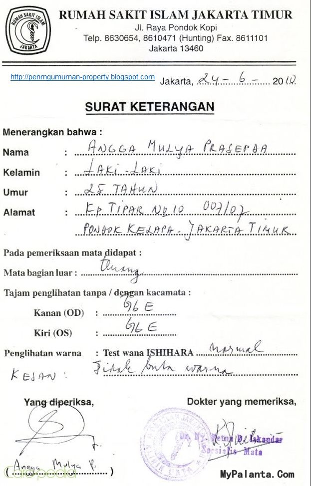 Contoh Format Cv Magang Mahasiswa - Contoh 193