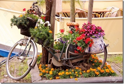 imágenes de bicicletas con flores (4)