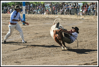 andacollo, veranador, fiesta, neuquen,