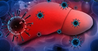 lab diagnosis of viral hepatitis