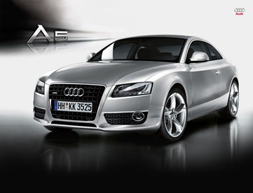 audi_wallpaper12_1600_1200[1]