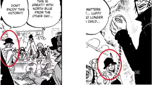 One Piece: Im Sama is Luffy's Mother and Also a Devil Fruit User?