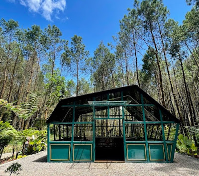 alamat Tangkal Pinus Jayagiri Lembang Bandung