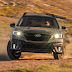 Off-Road Subaru Outback, Forester “Wilderness” Models Closer to Reality
