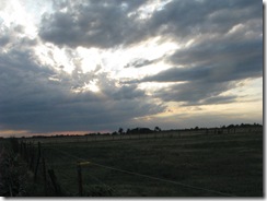 IMG_9859