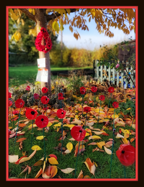 poppies for Remembrance made from plastic drinks bottles