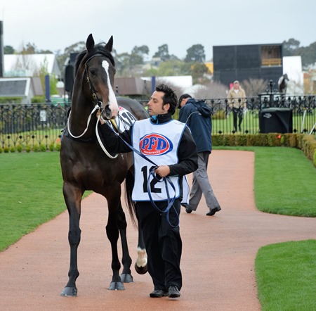 makybe diva stakes_grunt 1