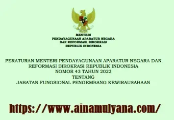 Permenpan RB Nomor 43 Tahun 2022 Tentang Jabatan Fungsional Pengembang Kewirausahaan - www.ainamulyana.com