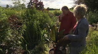 Neil and Carol Klein