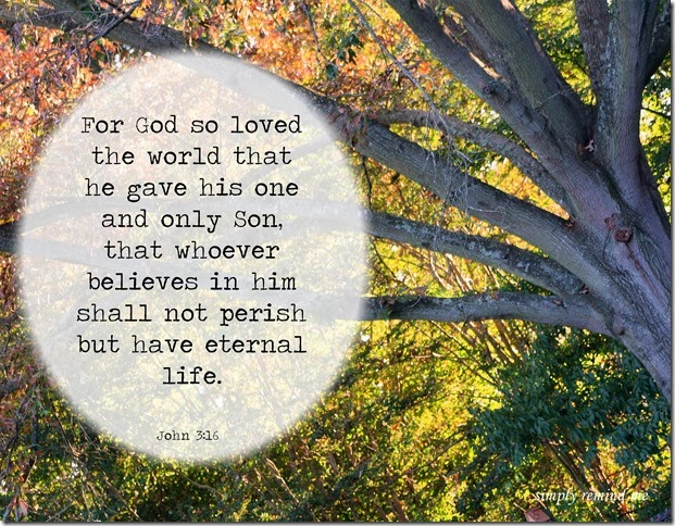 john316