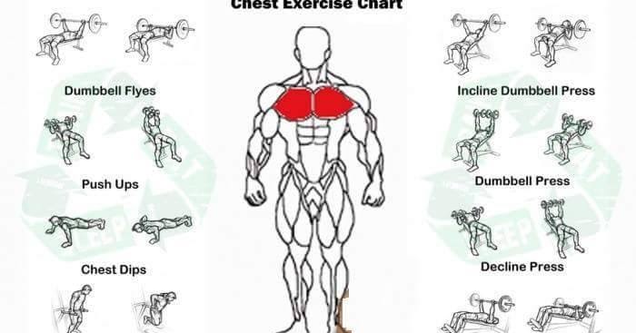 Exercises For Chest - A List of Excellent Chest Exercises ...