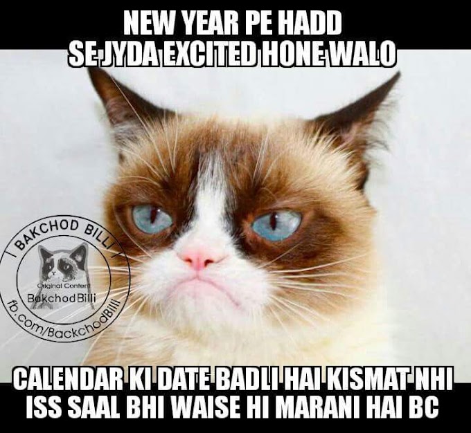 Bakchod billi latest non veg jokes and memes