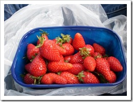 Roadside strawberries