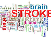 Obat Stroke Dari Buah