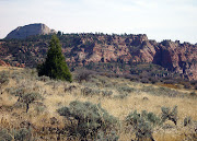 elevation in Zion Park. (kolobterraceroad dsc )