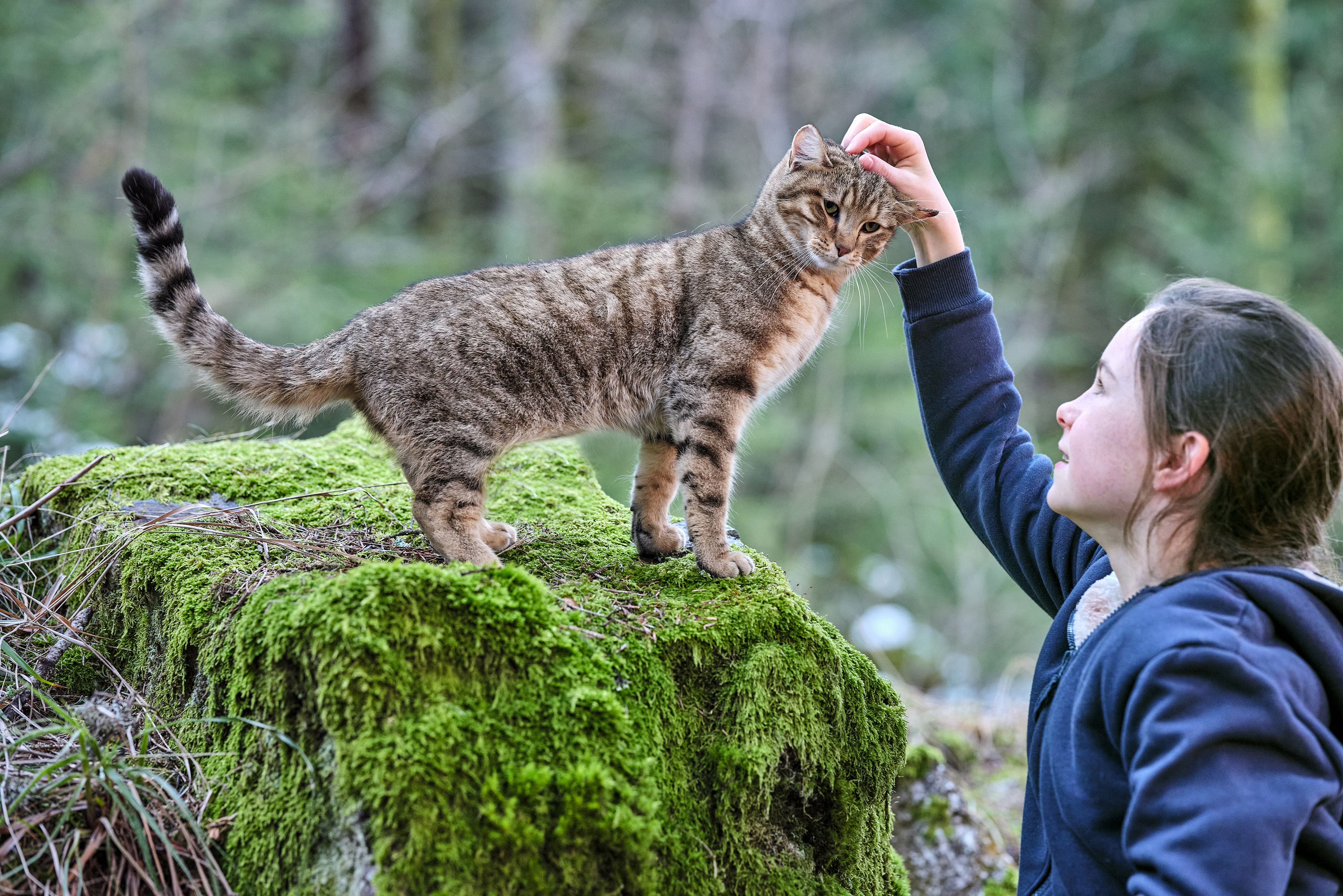 Mon Chat et moi, la grande aventure de Rroû