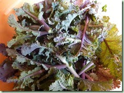 KaleBuds