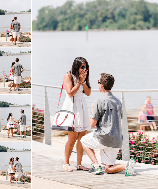 Proposal and Engagement Photos by Maryland Wedding Photographer Heather Ryan Photography